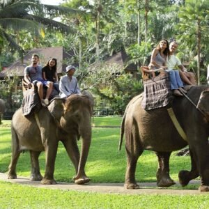 Bali Elephant Ride – Best Elephant Safari Experience in Ubud