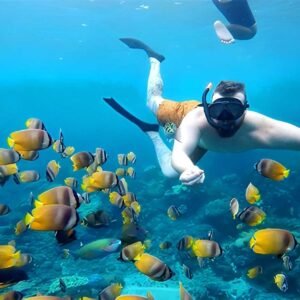 Nusa Penida Snorkeling